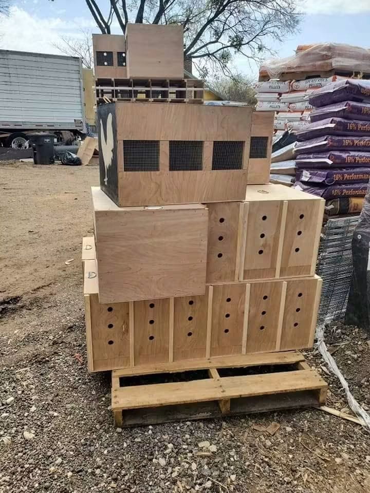gamefowl carry box