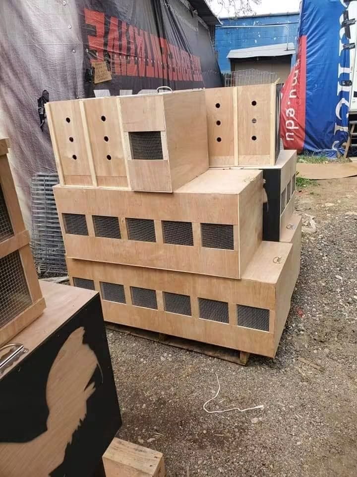 gamefowl carry box