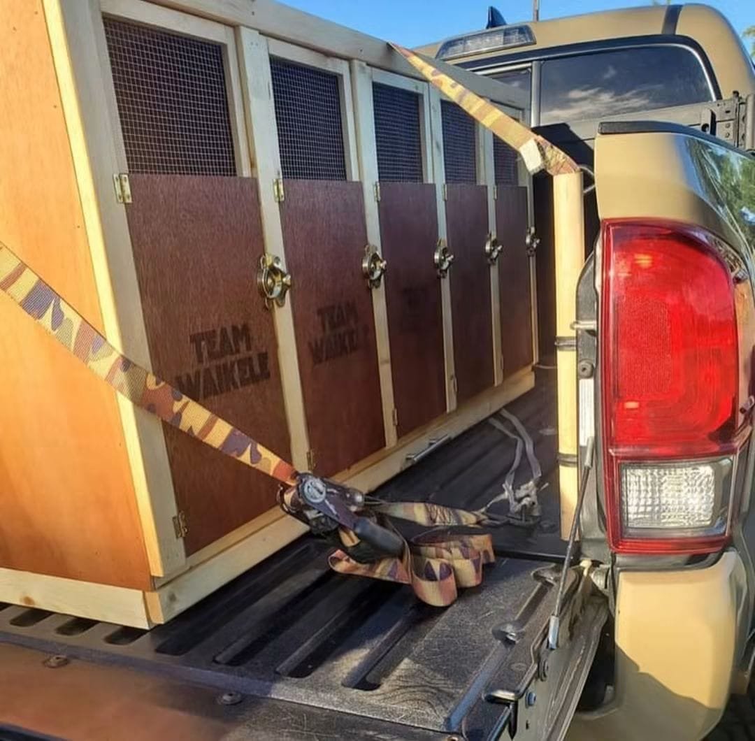 gamefowl carry box