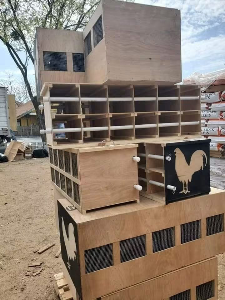 Ventilated gamefowl carry box used for transport