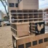 gamefowl carry box