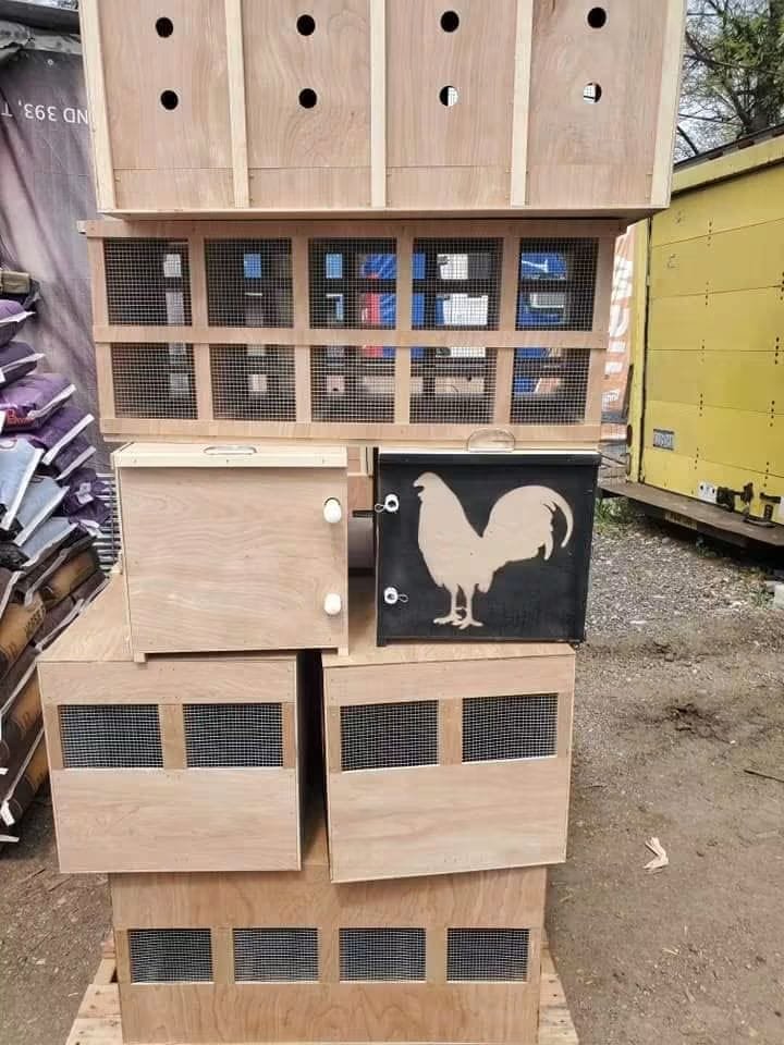 gamefowl carry box